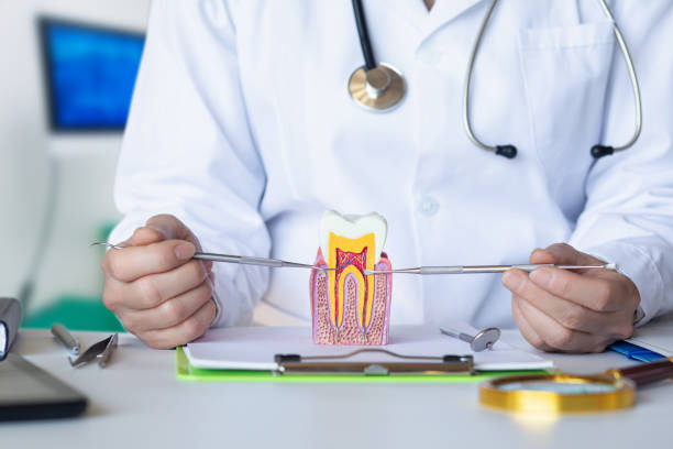 Best Emergency Dental Care for Broken or Chipped Teeth in Wabash, IN